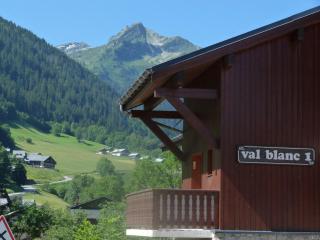 Appartement centre village, 4 personnes, 1 chambre, 1 coin montagne - VLI24 - Beaufort - 3