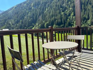 Appartement cosy rénové, 4 personnes, 1 coin montagne - AR2022 - Beaufort - 2