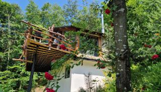 Beauty Wood House in The Forest - 9