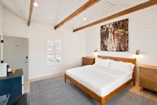 Boutique Room steps from Downtown Mall Rose Jean - Room 4 - Charlottesville - 9