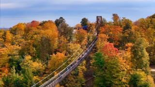 803 Mountain Cabin - Boyne Falls - 5