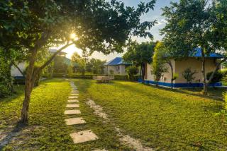 Tusk And Roar Resort - Petfrindly Jungle Cottages - 1