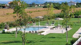 I Delfini - Natural B&B - Cesenatico - 8