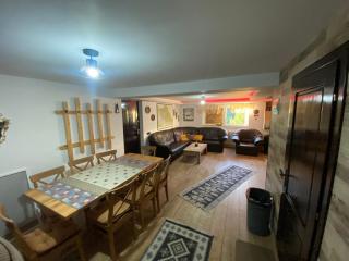 Cabana din Munți - Borşa - 1