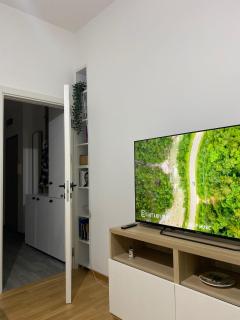 Apartman Mandić - Belgrado - 8