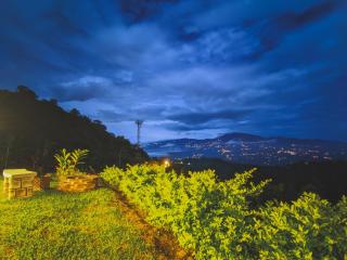 Las Colinas Glamping - Turrialba - 8