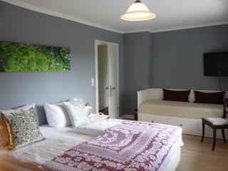 Landfein Big Country House - Winterberg - 9