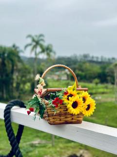 Inativo - Camboriú - 5