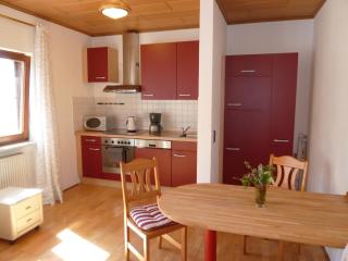 Ferienwohnung Tegernheim - Tegernheim - 6