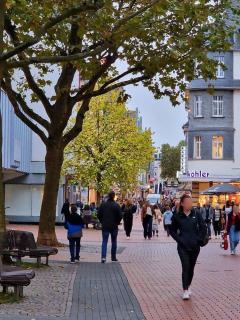 Dark Jungle - Innenstadt für 4 Netflix Switch Waschtrockner - 1