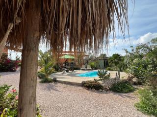 The Octopus Tropical Oasis - Dorp Sint Michiel - 6