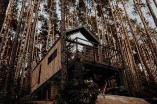 Domek w Koronach Drzew - Kielce - 9
