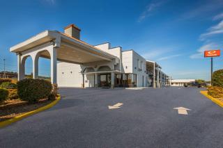 Econo Lodge White Pine Morristown I-81 & I-40 Split - White Pine - 0