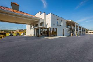 Econo Lodge White Pine Morristown I-81 & I-40 Split - White Pine - 8