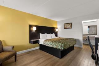Econo Lodge White Pine Morristown I-81 & I-40 Split - White Pine - 1