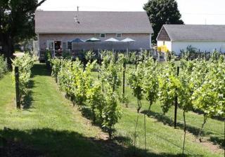 The Langworthy Inn & Winery - Westerly - 7