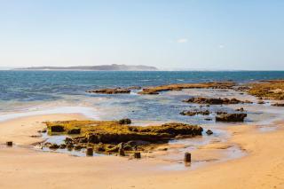 The 20th Hole - Point Lonsdale - 1