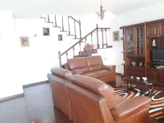 Madeira Panoramic Villa- Promoção 2 ou 3 semana - Funchal - 2