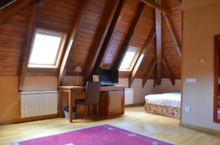 Hotel Spa Acevi Val d’Aran - Vielha - 4