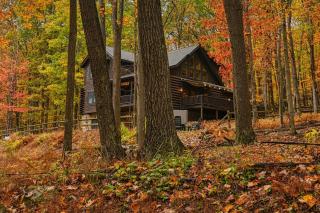 Hundred Acre Wood - Swanton - 8