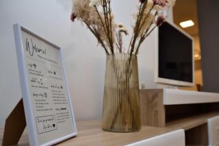 Heart of the City - 75sqm Suite - Skopje - 6