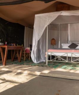 Nje Bush Camp - Kwangwazi - 6