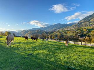 Bauernhof Sonnenhuab - Sankt Veit im Pongau - 8