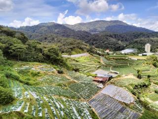 AISYAH MUSLIM HOMESTAY BRINCHANG CH ada coway kipas syiling - Brinchang - 1