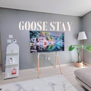 Goose Stay - Incheon - 6