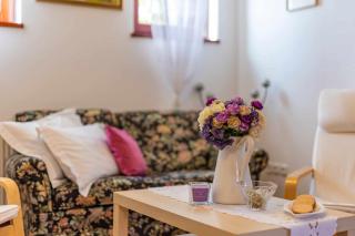 Idylický rodinný penzión Arkádia pri Dunajskej cyklotrase - Kyselica - 7