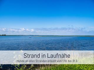 Ferienwohnung Lichtinsel - strandnah, ebenerdig, haustierfreundlich, Terrasse und Garten, viel Platz - 1