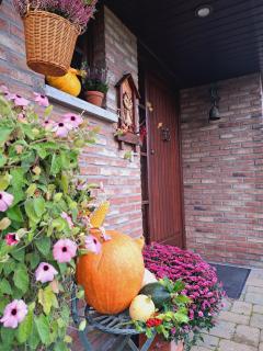 Gîte Les Sittelles - Tenneville - 7