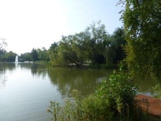 Appartis - Boardinghouse am Klostersee - Sindelfingen - 2