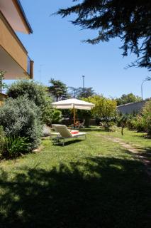 tulipano rosso - Bari - 4