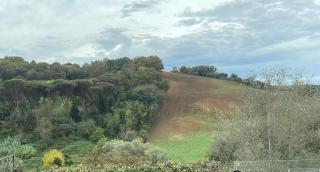 Appartamento nel verde fronte ospedale San Pietro, Sant'Andrea - 8