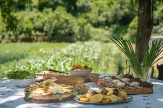 Family Vujic household - with organic fare - Cetinje - 8