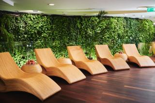 Hotel Narvil Conference & Spa - Serock - 6
