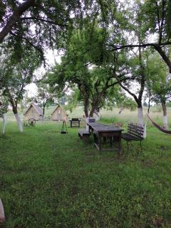 Pensiune Rozalia - Camping - Criţ - 1
