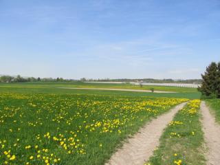 Ferienwohnungen Kolb - Ravensburg - 7