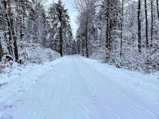 16LV Beautifully decorated country home 20 minutes from Bretton Woods, Cannon and Franconia Notch! - Bethlehem - 5