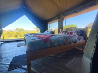 Nyakulo safari camp - Sekenani - 2