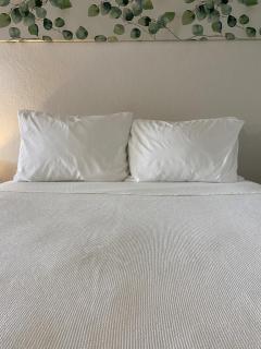 Beautiful Room Near Disney/Universal & I-Drive - Kissimmee - 6