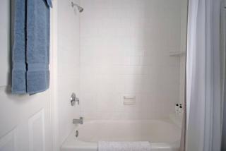 Hamilton Carriage A - Amazing Location, Courtyard - Savannah - 5