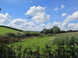 Stargazing Retreat - Merton - 5