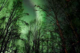 Cozy Basement Apartment Executive Retreat - Fairbanks - 9