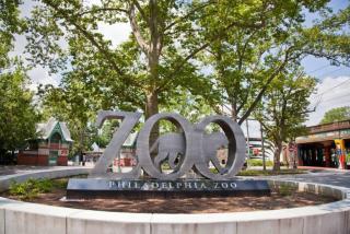 Cozy 1BR Center City Retreat with Free Parking - Philadelphia - 2