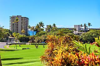 Kaanapali Royal L102 - Lahaina - 8