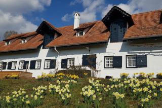 Einzigartiger Vierkanthof - Loipersdorf bei Fürstenfeld - 9