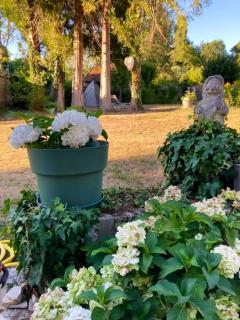 Maison spacieuse près de Vienne-en-Arthies avec jardin - 1