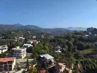 Апартаменты с видом на горы - 1